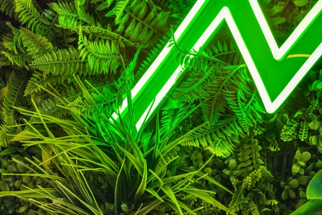 JS1996 Neon Mockup Green